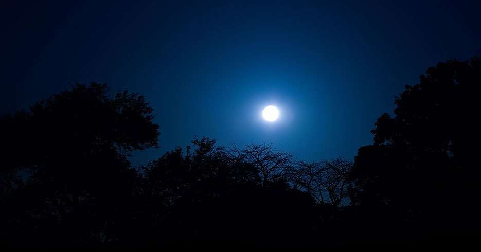 La Luna llena de hoy te ayudará a iniciar nuevos proyectos