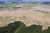 Récord de deforestación en la Amazonia brasileña en 12 años