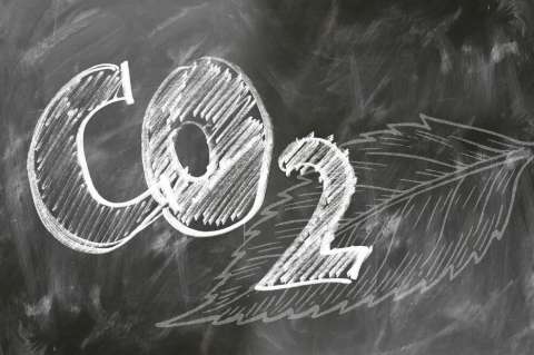 “Hacer dinero no puede ser la única motivación en un mercado de carbono”