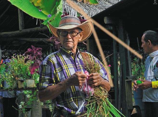 Un campesino o indígena con un ABIF saca de 15 a 25 productos para consumo / Juan José López