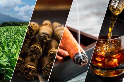 Del tabaco al ron: un viaje por el alma del norte de República Dominicana