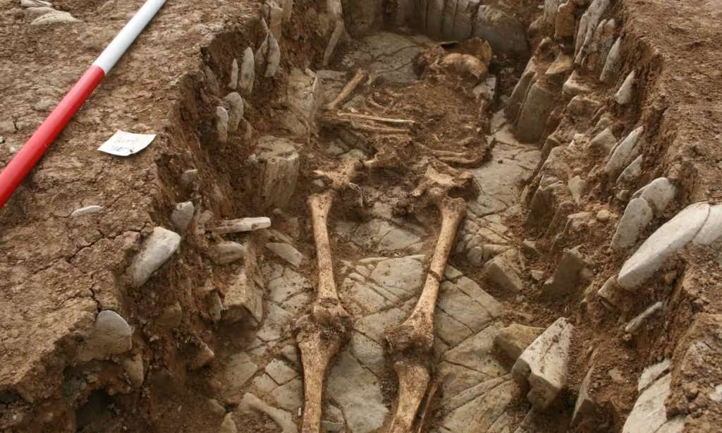 Se estima que hay unos 80 cuerpos en el cementerio medieval.