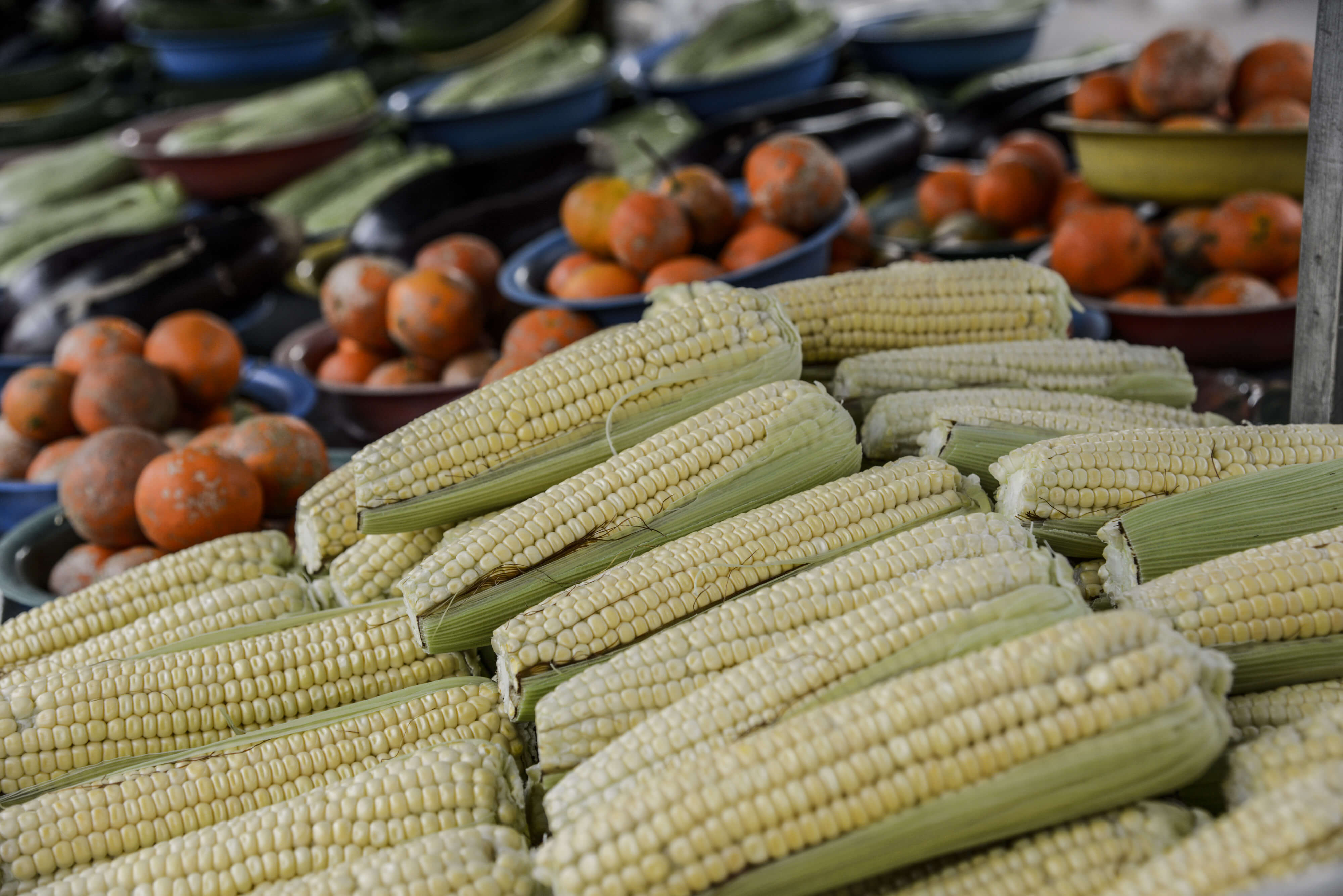 El Meta es uno de los principales productores de maíz amarillo, maíz blanco y soya. / Bloomberg News.