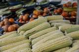 Alerta de cerealeros del Meta por suerte de la cosecha que viene en camino