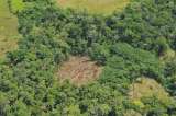 Minambiente, comunidades y productores firman pacto por madera legal en el Amazonas