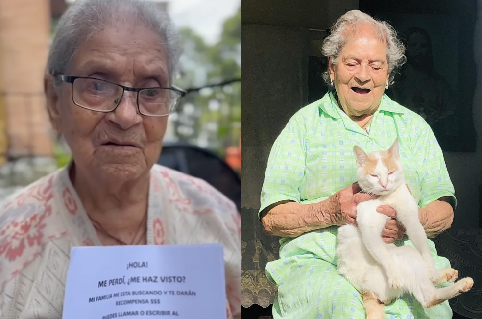 “Me está haciendo muchísima falta”: buscan al gato de una abuelita en Medellín
