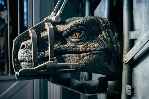 Cara a cara con dinosaurios en Jurassic World The Experience
