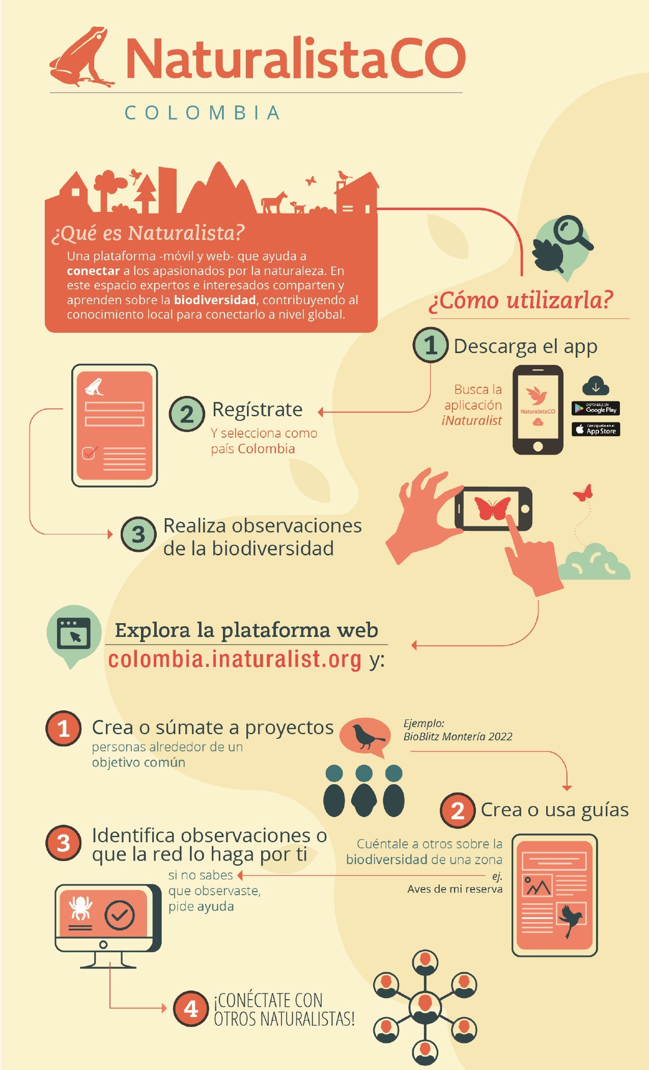 Cómo usar Naturalista