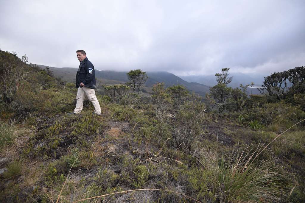 Recorrido por el Parque Chingaza en el que se observan venados, diferentes plantas y la Laguna, ubicada en la cordillera Oriental de los Andes, al noreste de Bogotá.