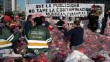 Bajas en el precio del cartón amenazan el trabajo de los recicladores en Argentina