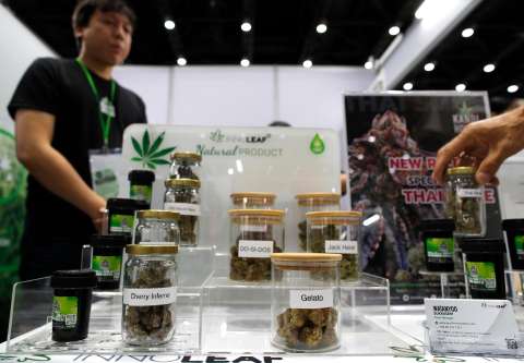 Cuenta regresiva en Bogotá: Invima define el futuro del cannabis medicinal en marzo