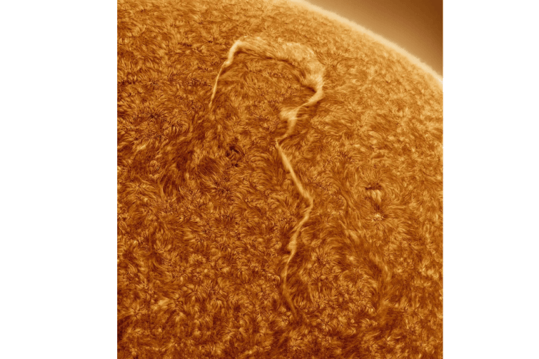 "Se trata de una imagen muy ingeniosa, ya que, si bien hemos visto antes la granulación y la superficie del Sol, nunca antes había visto un filamento con forma de signo de interrogación. Si se hace zoom en la superficie del Sol, la imagen parece pintada, me parece ver las pinceladas. Hay una sensación de movimiento y casi puedes ver el filamento en forma de signo de interrogación moviéndose si te quedas mirando el tiempo suficiente"", expresó Sheila Kanani, jueza de la competencia.