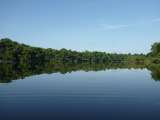 Biodiversidad, la historia de un fracaso