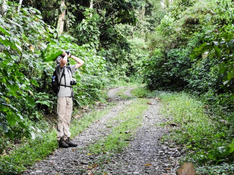 Manizales será el punto de encuentro para impulsar el aviturismo de Colombia