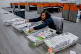 ¿Qué pasa si hay empate entre Trump y Harris en las elecciones?