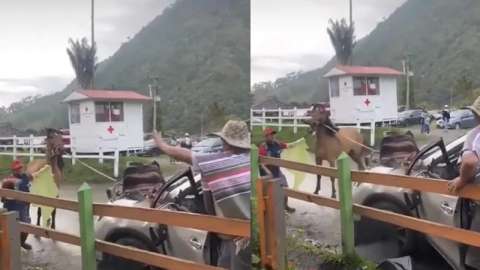 Tras episodio de estrés, caballo dañó el carro de un turista en Salento, Quindío