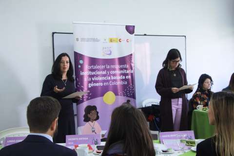 La lucha por prohibir el uso del concepto “Alienación Parental” llega a la CIDH