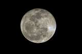 Luna de Ciervo 2024: prepárese para este evento que se podrá ver el 21 de julio