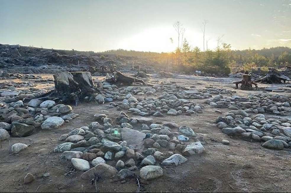 El equipo de arqueólogos descubrió en total 41 tumbas en el lugar.