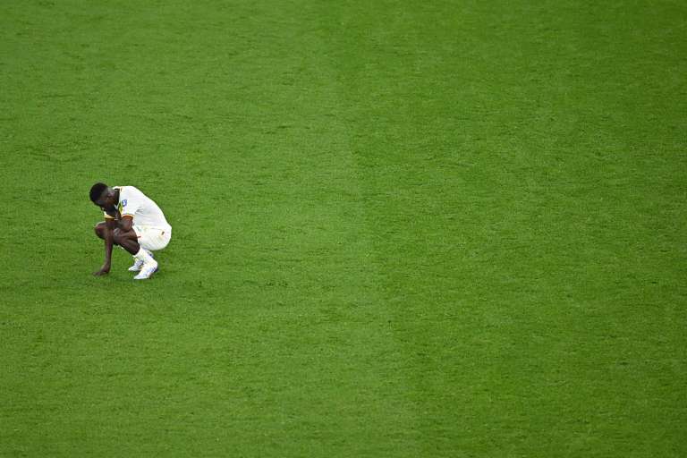 Países Bajos vs. Senegal, Mundial de Fútbol Catar 2022