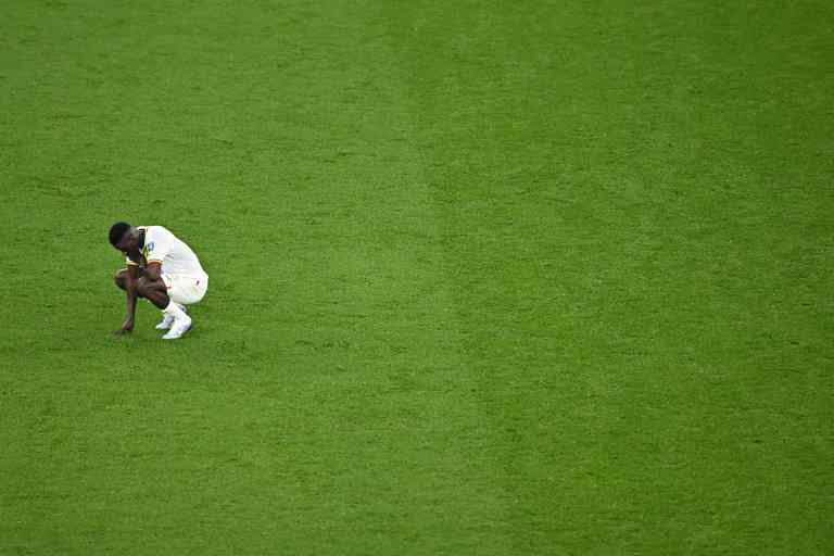 Países Bajos vs. Senegal, Mundial de Fútbol Catar 2022