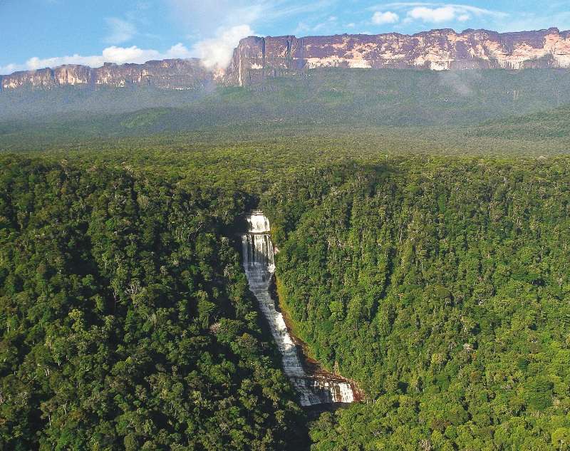 La selva amazónica tiene una extensión de más de ocho millones de km2 entre los nueve países que la componen. /Taylor Nunes