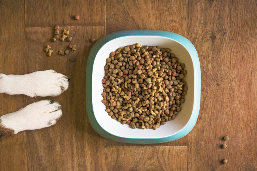 Comida para perros y gatos.
