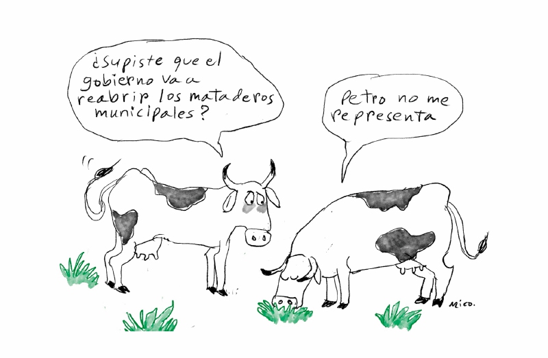 Mico