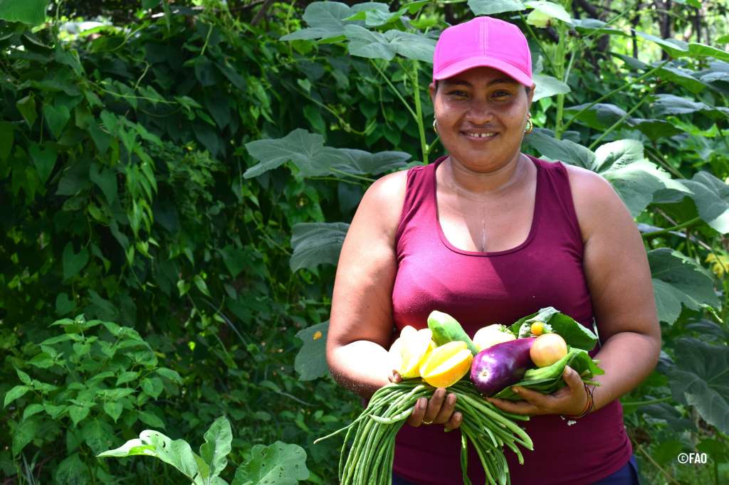Transformando los sistemas alimentarios urbanos para erradicar el hambre en América Latina.