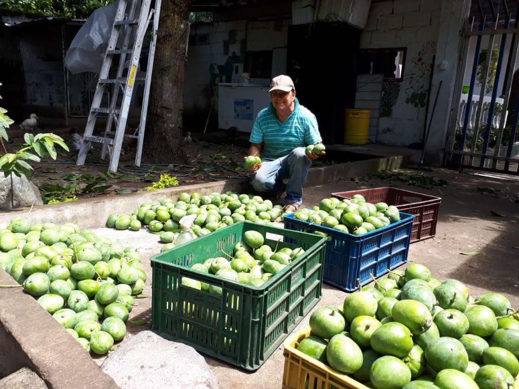 Frutas Honda, Tolima