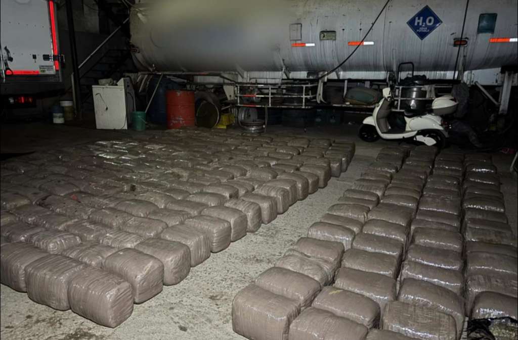Encontraron 365 pacas de marihuana.