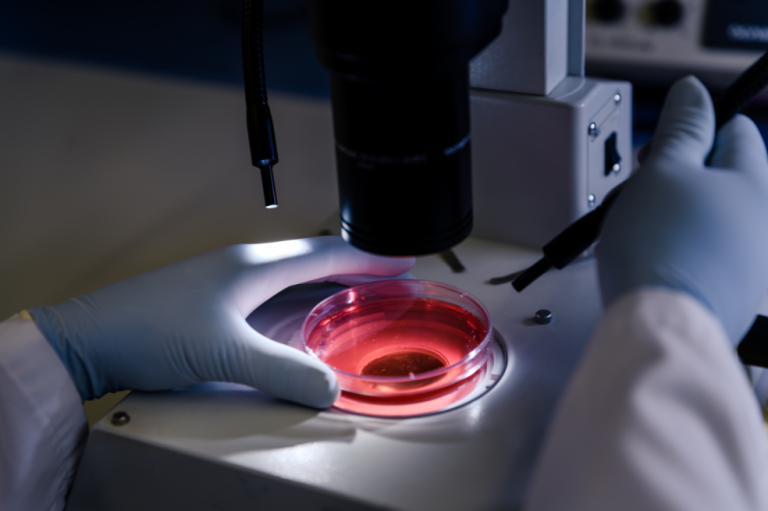 Salud: lo que debes saber sobre la detección de la Leucemia
