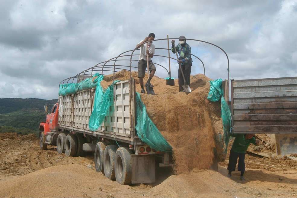 Las incautaciones de arroz de contrabando hechas este año llegan a 1.400 toneladas, de acuerdo con la Policía Fiscal y Aduanera, Polfa. / La Opinión