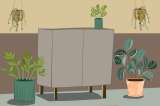 ¿Cuál es el mejor lugar para poner las plantas en la casa?