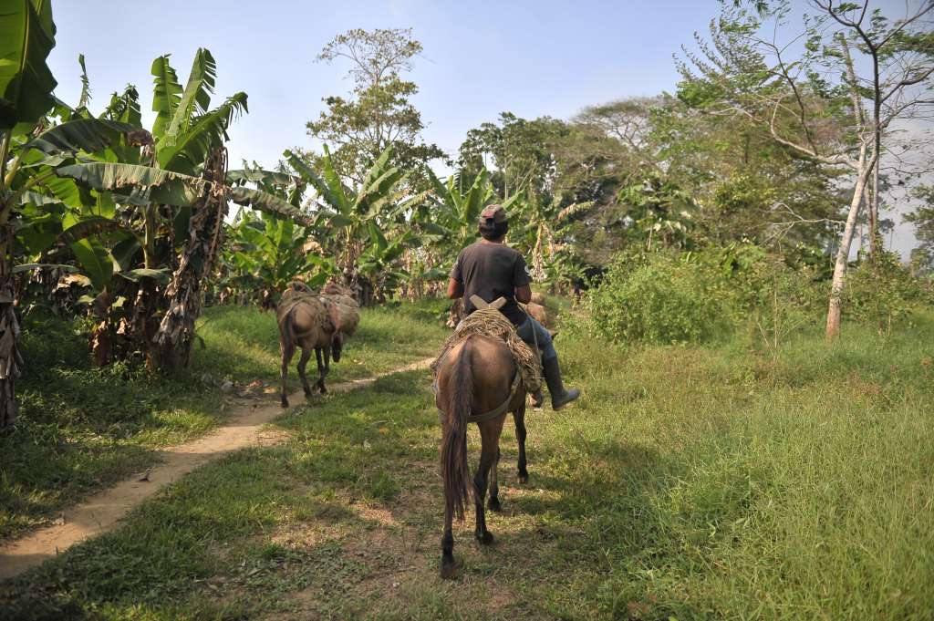 Mujeres indígenas del Urabá antioqueño que se dedican a la elaboración de las Molas (artesanías típicas de su cultura).