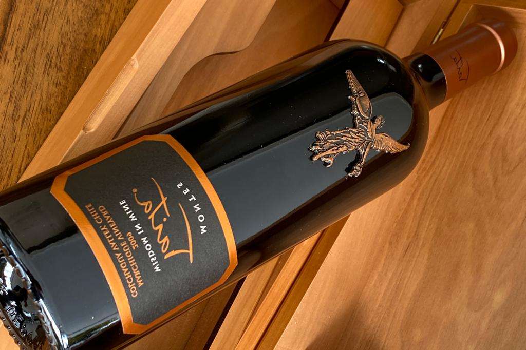Vinos del cono sur.