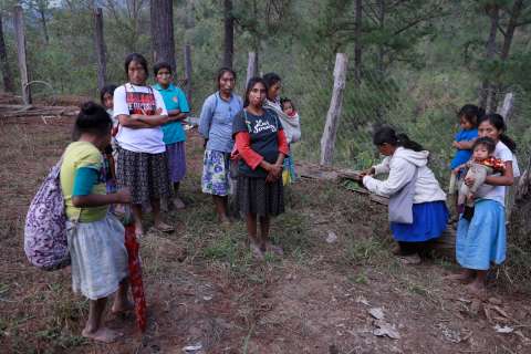 Riesgo de hambruna por sequía en fronteras de Honduras, Guatemala y El Salvador