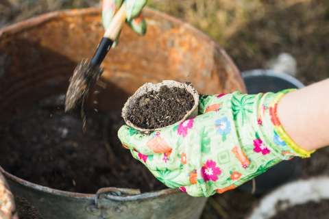¿Para qué sirve las cenizas en las plantas?