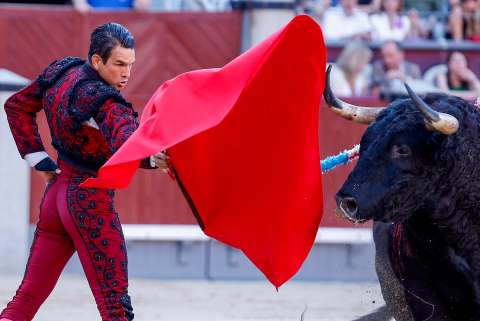 Cuando la Corona española trató de prohibir las corridas de toros