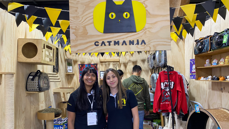 Cat Mania: guardería y fundación que cambia la vida de cientos de gatos con su casa cultural