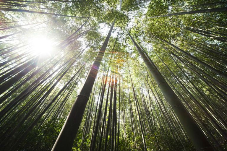 Alfabetización medioambiental, la apuesta en el Día de la Tierra
