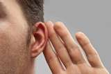 Los humanos tienen un músculo “fósil” en la oreja que hace que se mueva