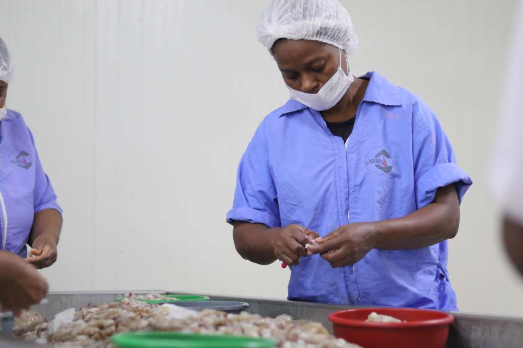 Cerca del 82 % de los participantes del proyecto Cadena de valor del Camarón de Tumaco son mujeres.