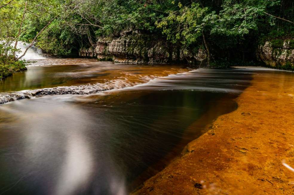 El bioma Amazónico tiene un rol primordial en la regulación del clima regional en Sudamérica y provee cerca del 20% del agua dulce del planeta.