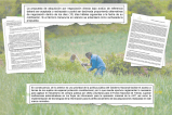 Gobierno Petro aceleró su reforma agraria con cirugía a compra directa de tierras