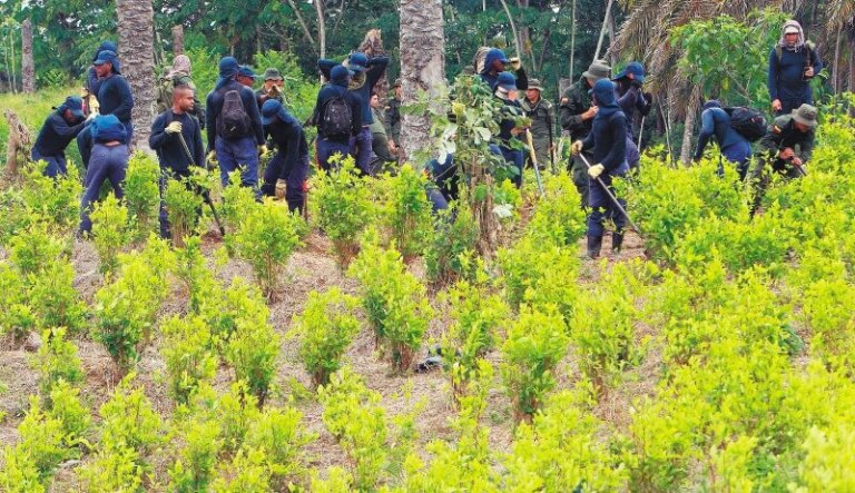 El PNIS fue un fracaso político de este gobierno: líder campesino de Tarazá