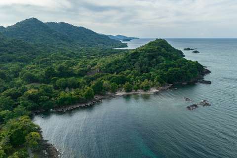 Colombia es una pieza clave en el rompecabezas ambiental global