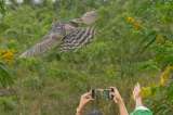 Un guardián de la biodiversidad en Cali