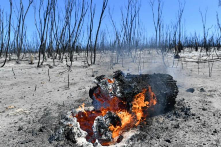 Incendios en Australia: el fuego ha emitido en tres meses casi el mismo CO2 que el país en un año