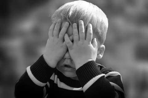 Niño de dos años sobrevive tres días perdido en un bosque
